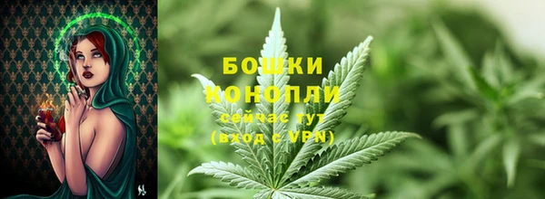 крисы Краснослободск