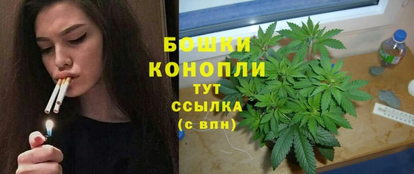 крисы Краснослободск