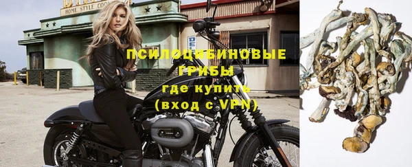 крисы Краснослободск