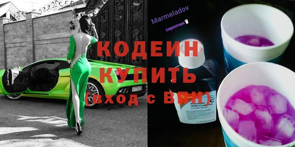 крисы Краснослободск