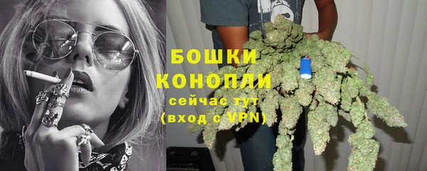 крисы Краснослободск
