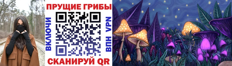 Купить закладки  Болотное  Псилоцибиновые грибы мицелий 